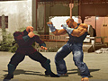 Laro The Perfect Fighter