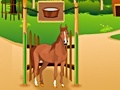 Laro Horse Care Apprenticship