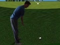 Laro Flash Golf 3D