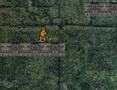 Laro Bunny Adventure
