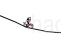 Laro Line Rider