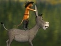 Laro Travel cat and a donkey