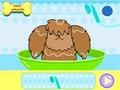 Laro Dog Hairdresser