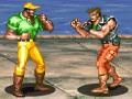 Laro Hardest Fighter 2