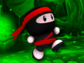 Laro Ninja Cover 