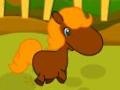 Laro Pony Races