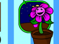 Laro My pocket plant 