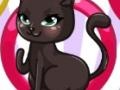 Laro Cat Fashion Designer 
