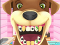 Laro Animal Dentist 