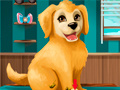 Laro Become a Puppy Groomer