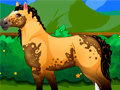 Laro Pony Dress Up