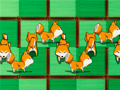 Laro Shiba rescue : dogs and puppies