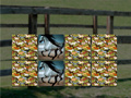 Laro Horse Memo Deluxe
