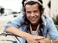 Laro Harry Styles Spot the Difference