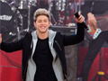 Laro Niall Horan: Spot The Differences