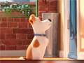 Laro Hidden Letters in The Secret Life of Pets