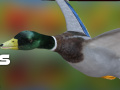 Laro Duck Hunter Autumn forest 