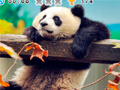 Laro Animal Habitats: Find Items