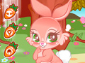 Laro Cute Bunny