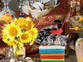 Laro Crazy Cat Lady