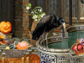 Laro The Witches Curse