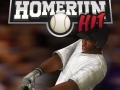 Laro Homerun Hit
