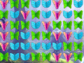 Laro Butterfly Collector