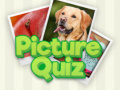 Laro 100 Pics