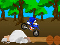 Laro Cross Sonic Race 