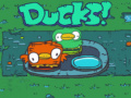 Laro Ducks!