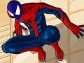 Laro Spiderman Costume
