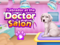 Laro Labrador at the doctor salon    