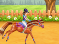 Laro Horse Care and Riding