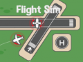 Laro Flight Sim