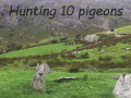 Laro Pigeons Hunting