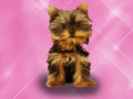 Laro Wash Pets Princess Kids    