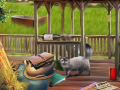 Laro Backyard Makeover