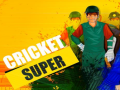 Laro Super Cricket      