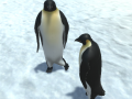 Laro The littlest penguin