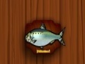 Laro Amateur Action Super Fishing