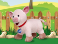 Laro Catch The Pig
