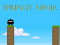 Laro Springy Ninja