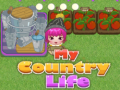 Laro My County Life