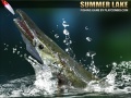 Laro Summer Lake