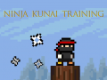 Laro Ninja Kunai Training