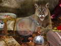 Laro The Secrets of Felwood