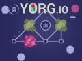 Laro Yorg.io
