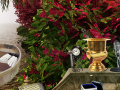 Laro The Prize Winning Garden