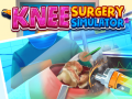 Laro Knee Surgery Simulator