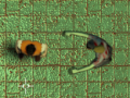 Laro Maze Of Infection